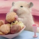 ʳ嵥  ܳʲôܳʲô