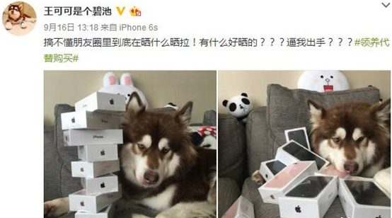 QQͼƬ20160920100618.png