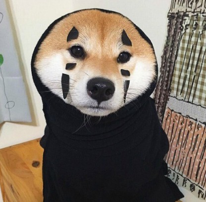 qq.JPG