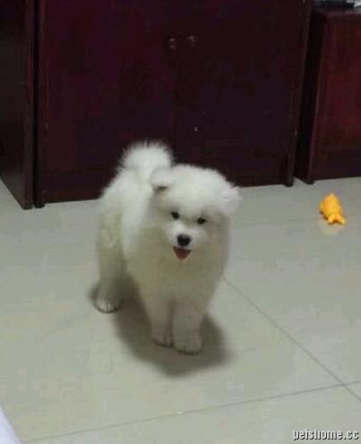 QQͼ20170225144908.jpg