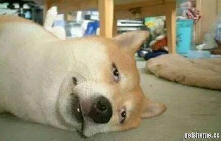 QQͼ20180406223404.jpg