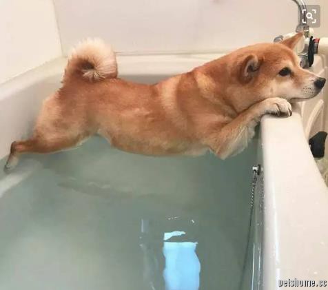 ⼼û˵.jpg