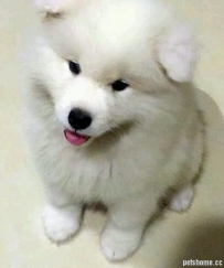 ¹~