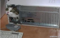 ̫