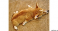 ˧˯ˣˣˬû