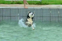 ôˮƯ