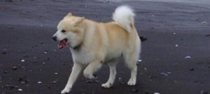 Ȯܻ ñȮĸ