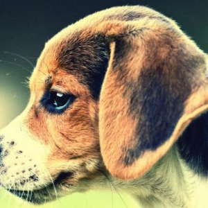 ȸȮ֪ʮ