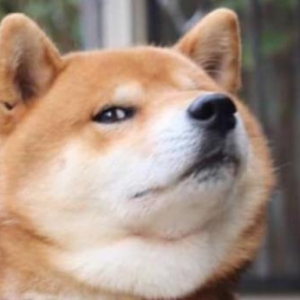 Ȯ