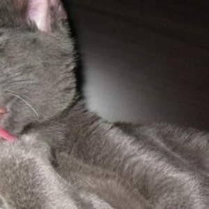 Ϊɶ󣺿èʲôè