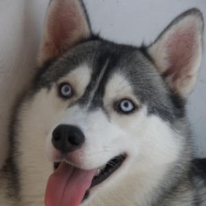 ʿԸ ˺˵Ķ