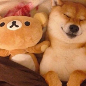 Ȯϰ   ˳ӳȸԶ