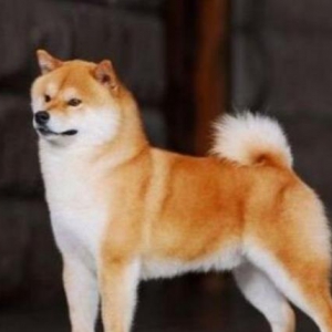 Ȯ  ԼĶ֮