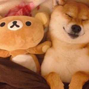 ȮʳҪ ʳ